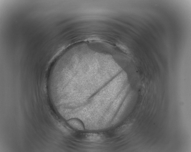 X0000066960347200604142121