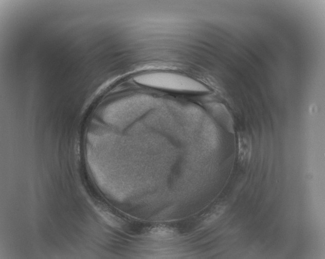 X0000066960348200604142121