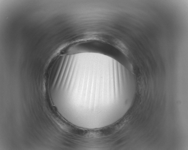 X0000066960350200604142121