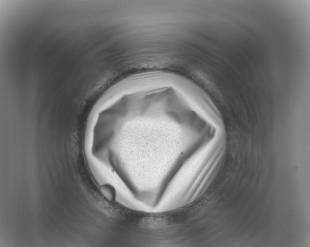 X0000066960354200604142121