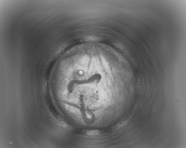 X0000066960355200604142121