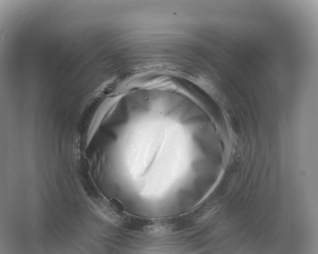 X0000066960356200604142121