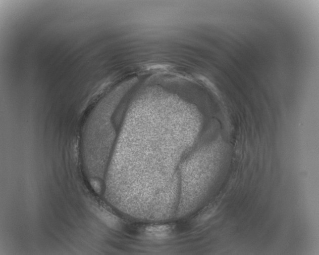 X0000066960357200604142121