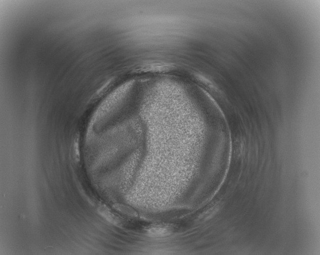 X0000066960358200604142121