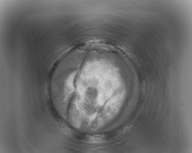 X0000066960359200604142121