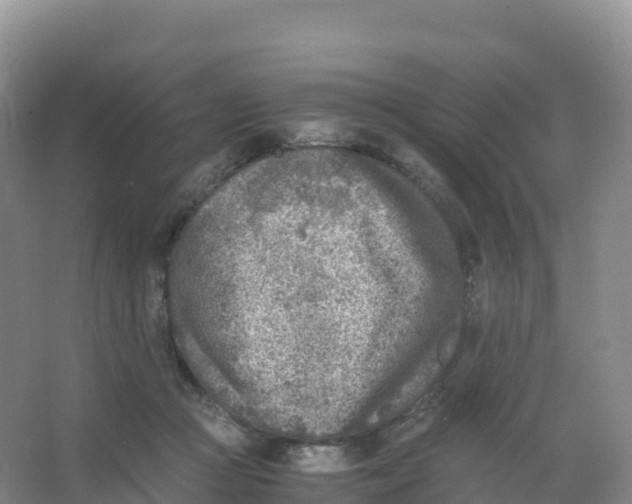 X0000066960361200604142121