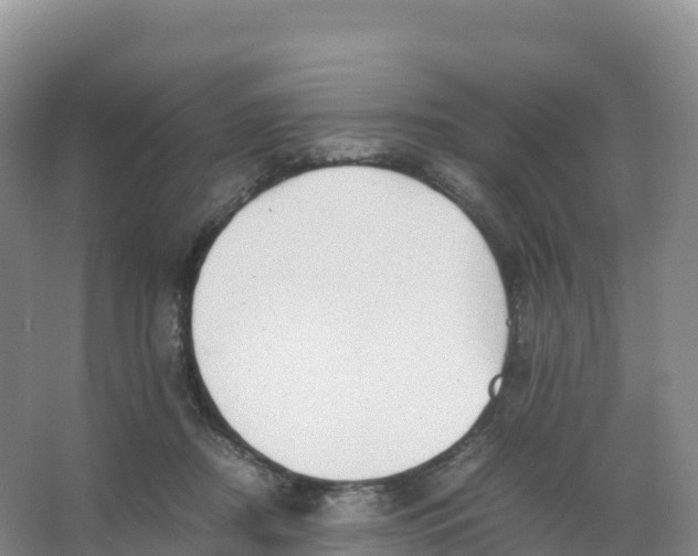 X0000066960362200604142121