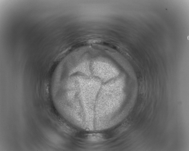 X0000066960363200604142121