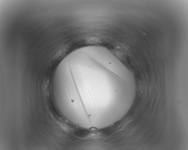 X0000066960364200604142121