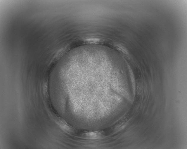 X0000066960365200604142121