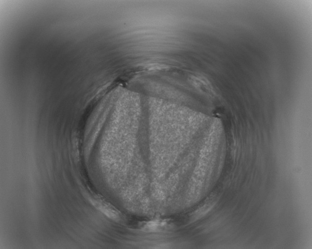 X0000066960366200604142121