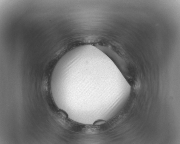 X0000066960368200604142121