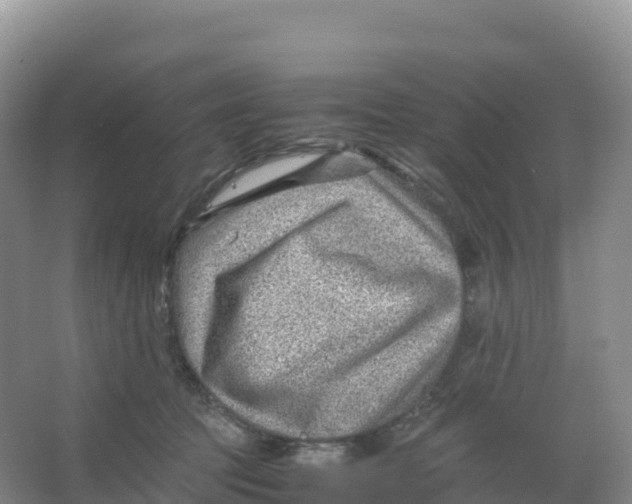 X0000066960369200604142121