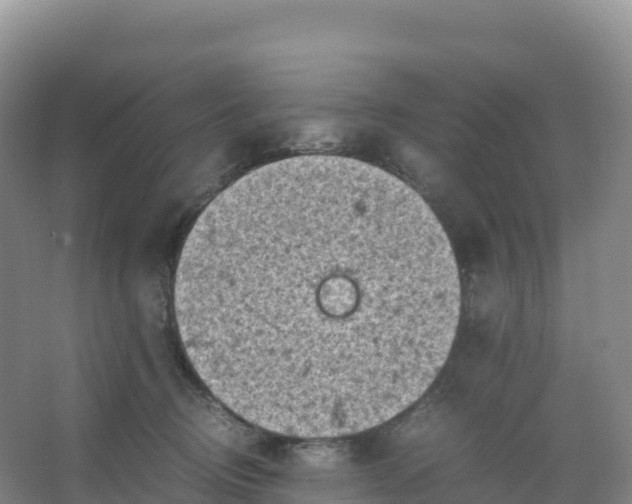 X0000066960370200604142121