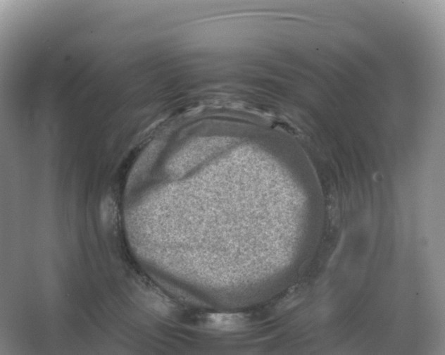 X0000066960371200604142121