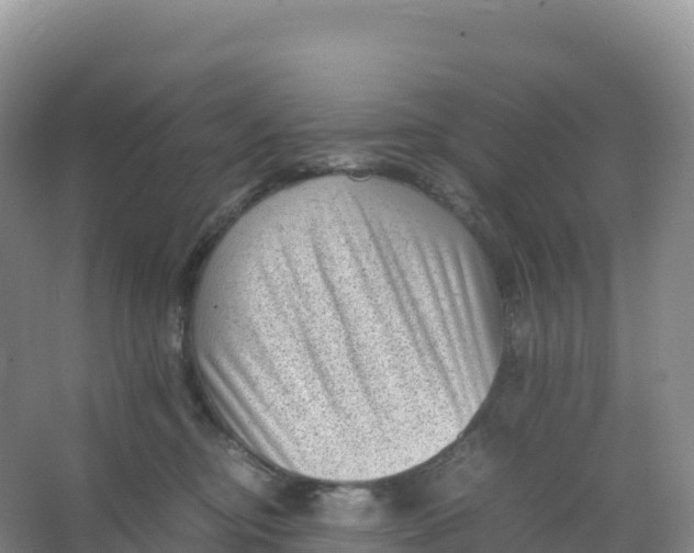 X0000066960374200604142121