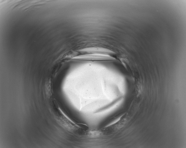 X0000066960376200604142121