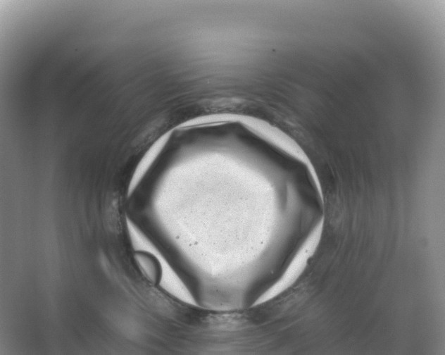 X0000066960378200604142121