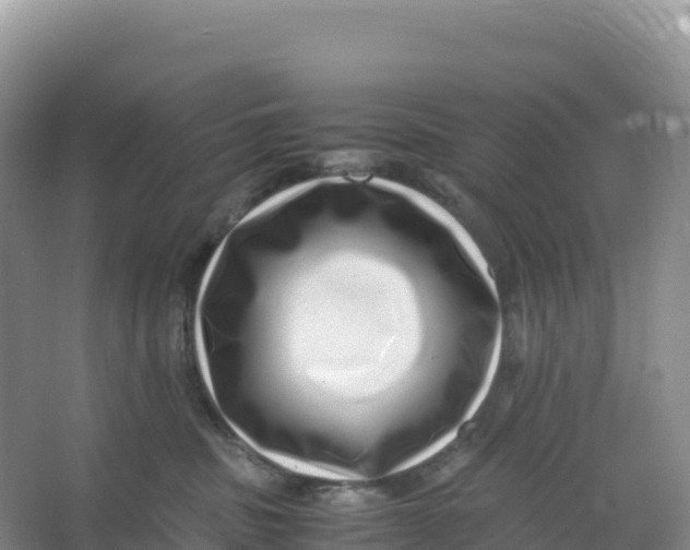 X0000066960379200604142121