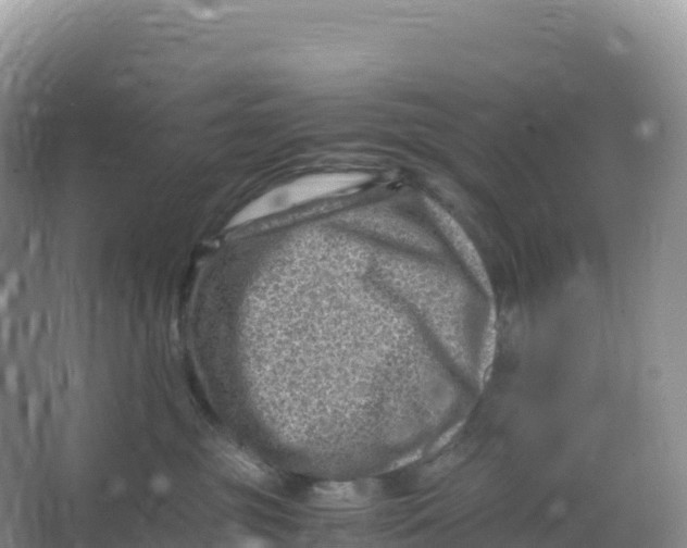 X0000066960381200604142121