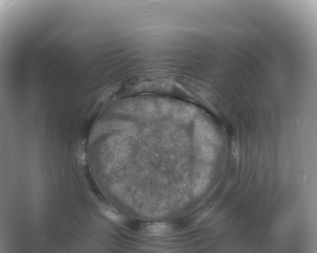 X0000066960383200604142121