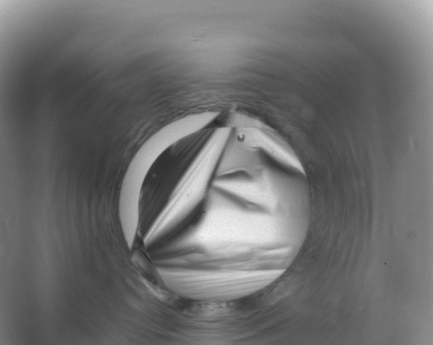 X0000066960384200604142121