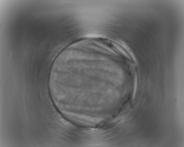 X0000066960385200604142121