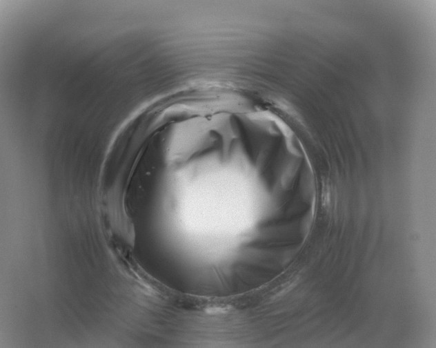 X0000066960388200604142120