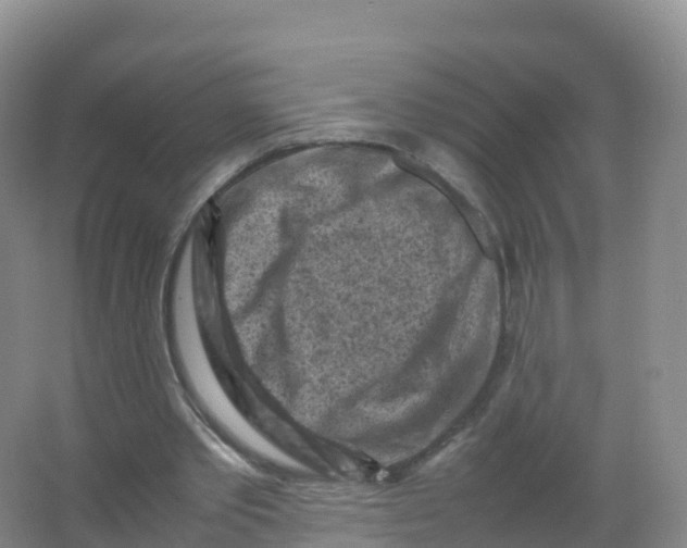 X0000066960389200604142120