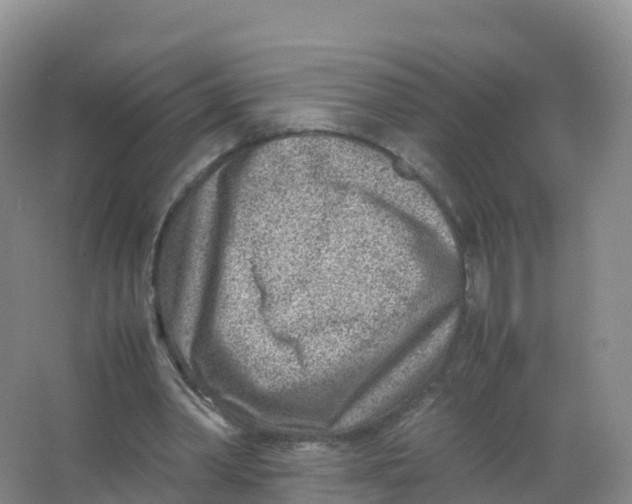 X0000066960390200604142120