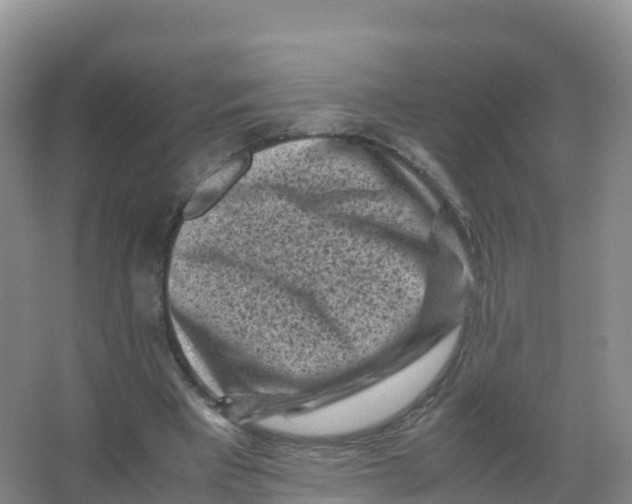 X0000066960393200604142120