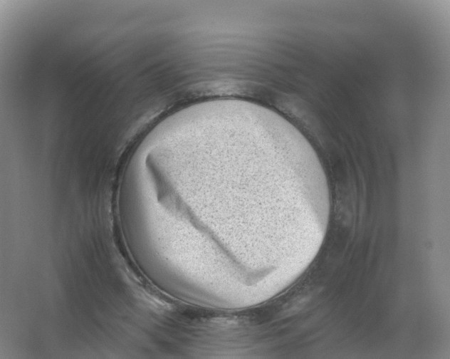 X0000066960394200604142120