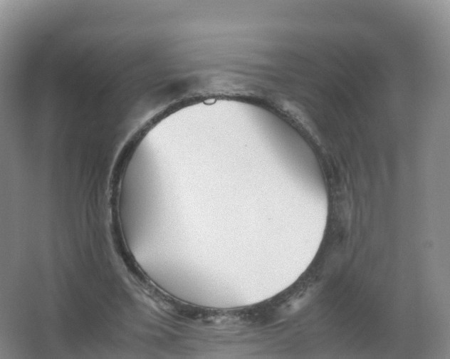 X0000066960395200604142120