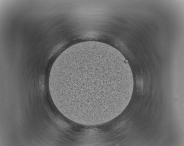 X0000066960396200604142120