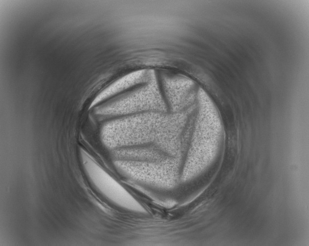 X0000066960397200604142120