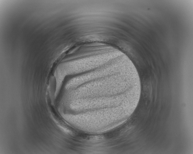 X0000066960398200604142120