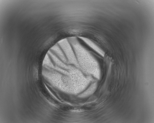 X0000066960404200604142120