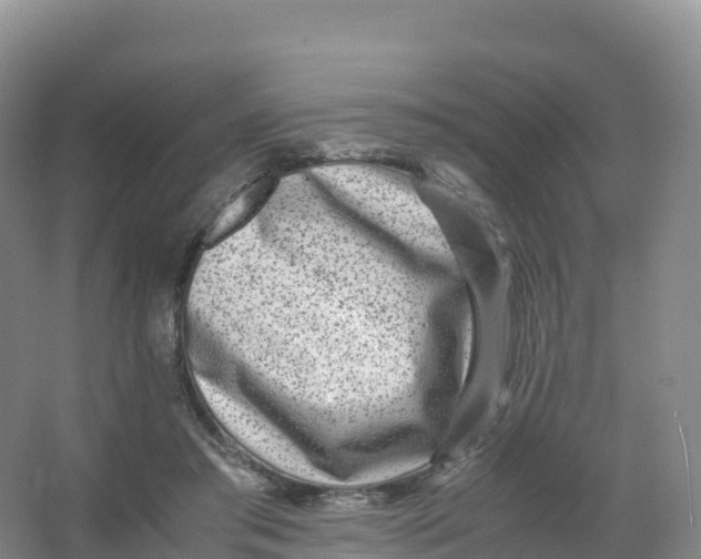 X0000066960405200604142120