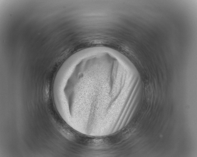 X0000066960406200604142120