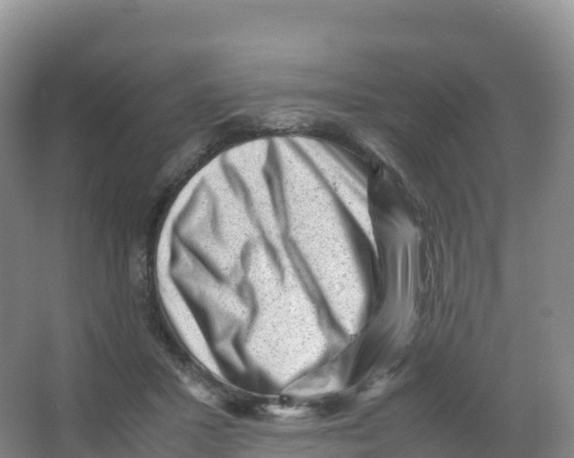 X0000066960407200604142120