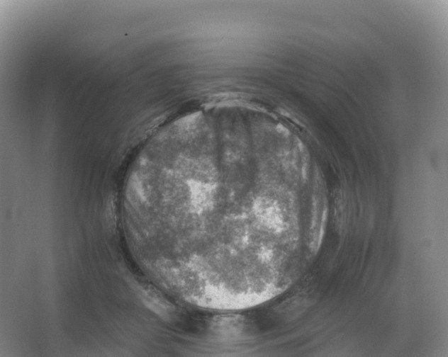 X0000066960410200604142120