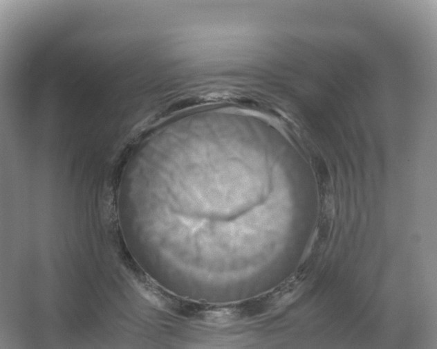 X0000066960411200604142120