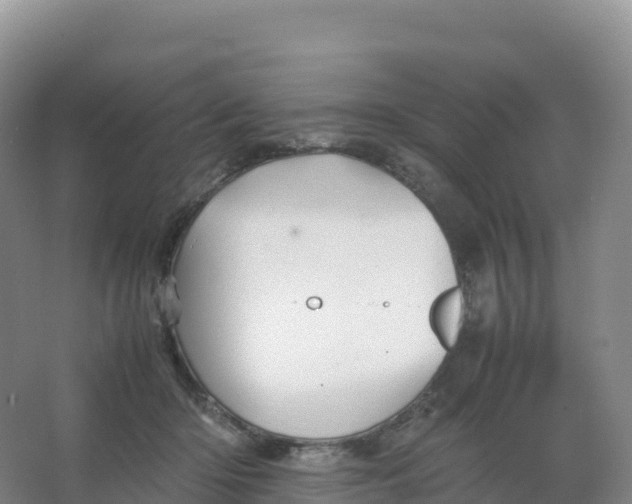 X0000066960414200604142120