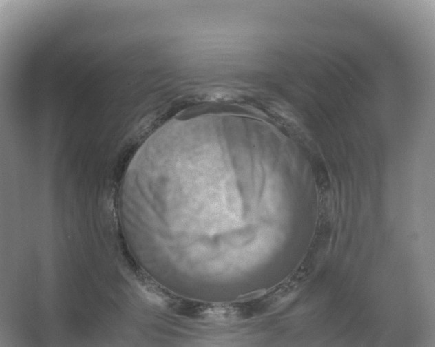 X0000066960415200604142120