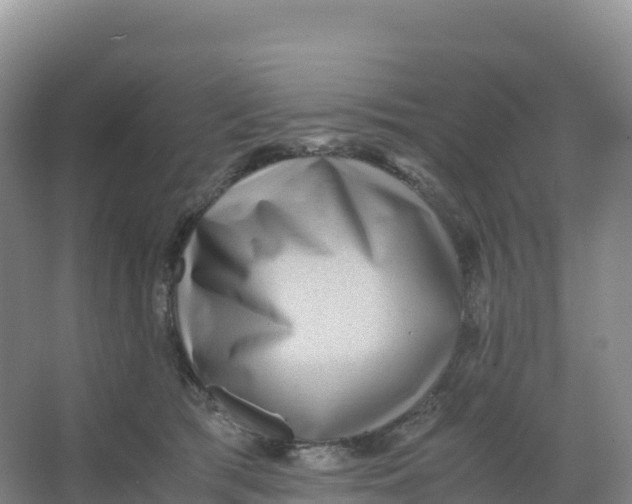 X0000066960417200604142120