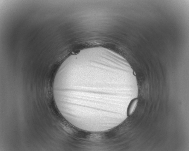 X0000066960418200604142120