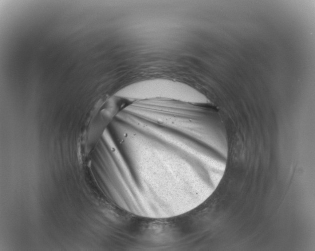 X0000066960420200604142120