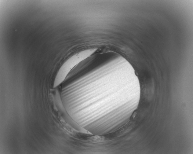 X0000066960421200604142120