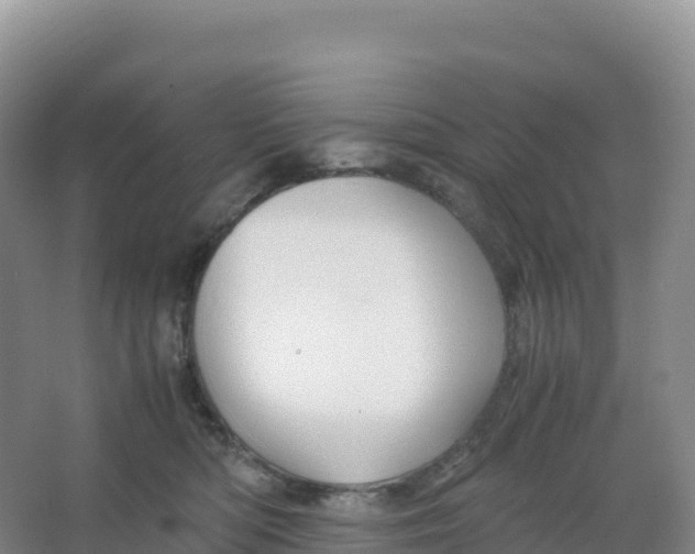 X0000066960422200604142120