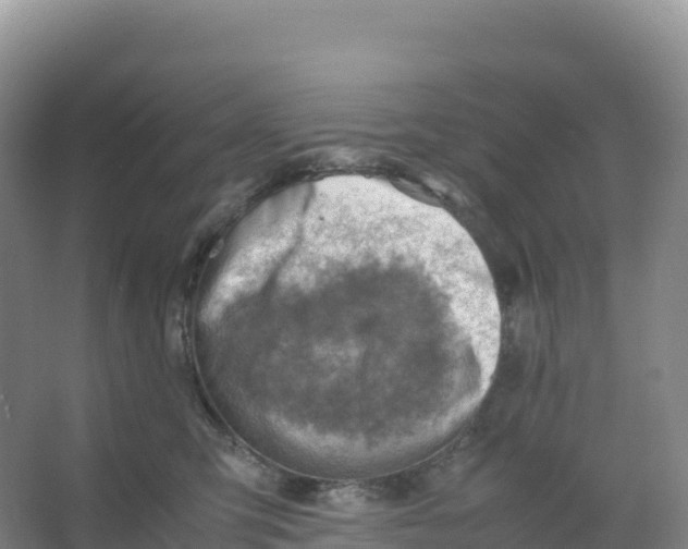 X0000066960423200604142120